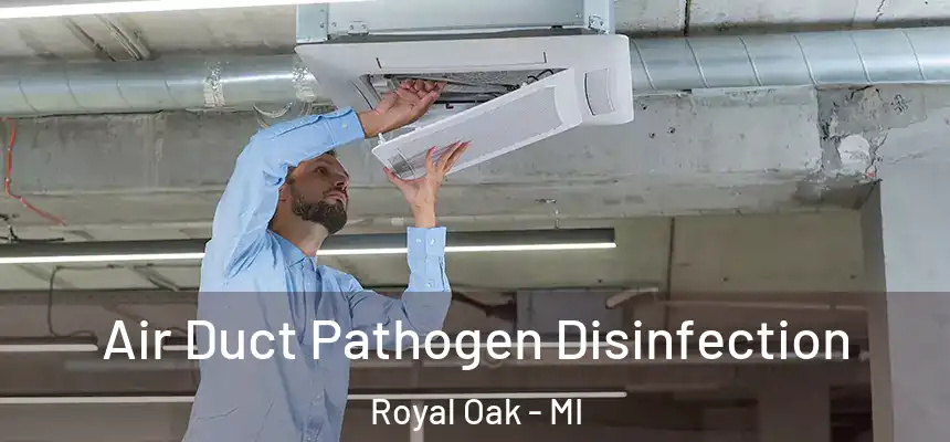  Air Duct Pathogen Disinfection Royal Oak - MI