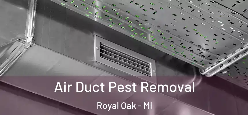  Air Duct Pest Removal Royal Oak - MI