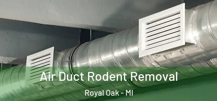  Air Duct Rodent Removal Royal Oak - MI