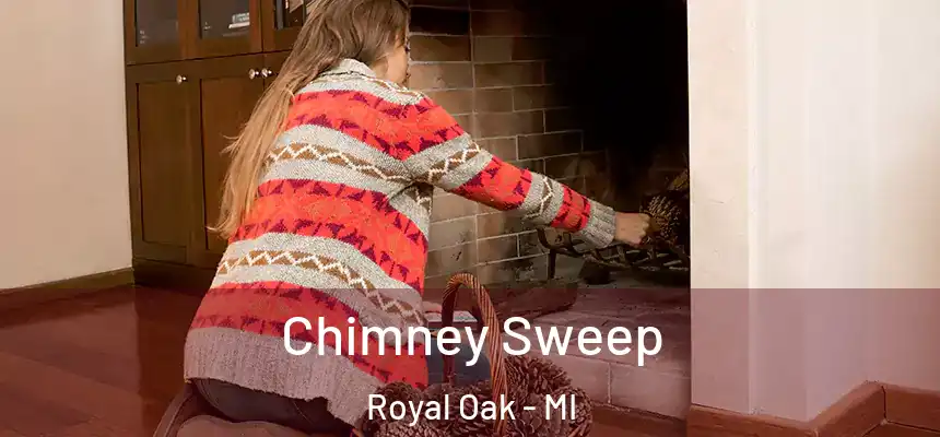  Chimney Sweep Royal Oak - MI
