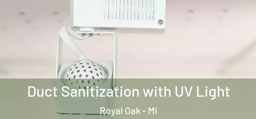  Duct Sanitization with UV Light Royal Oak - MI