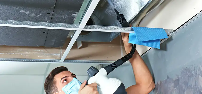 Our Air Duct Rodent Removal Services in Royal Oak, MI