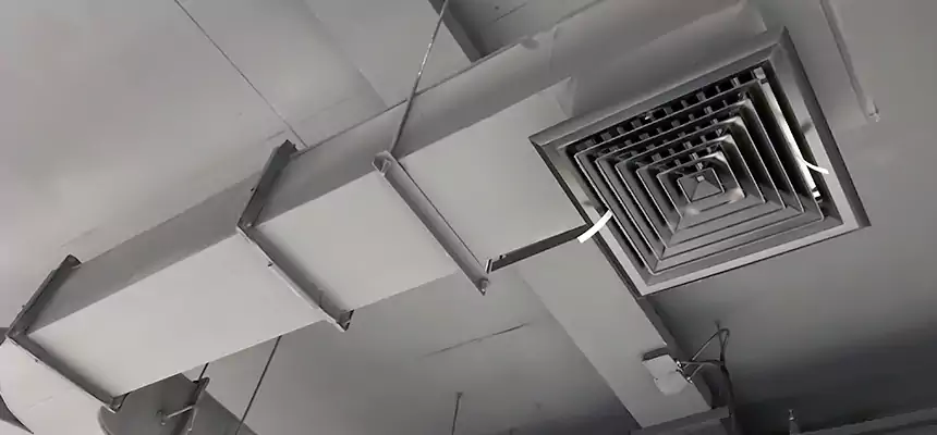 Restorative Allergy Relief Vent Cleaning – Coil, Blower & Housing Detail in Royal Oak