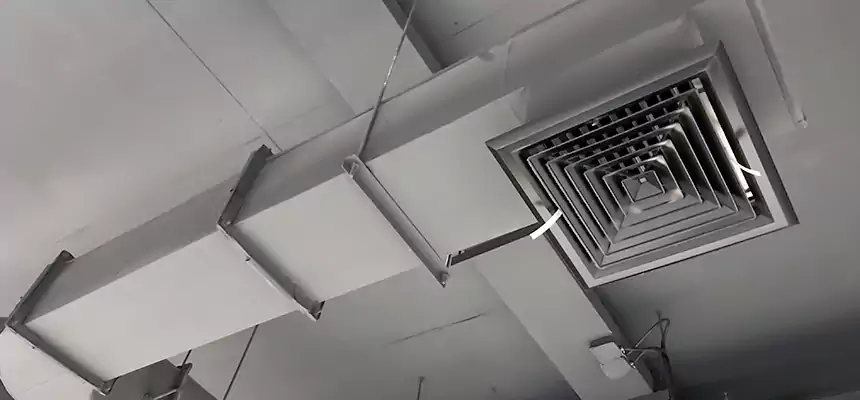 Our Pest Removal From Ducts Services in Royal Oak, MI