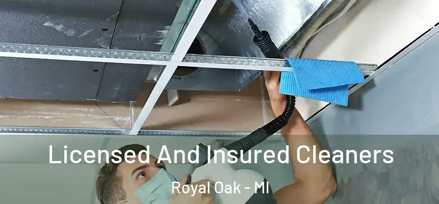  Licensed And Insured Cleaners Royal Oak - MI