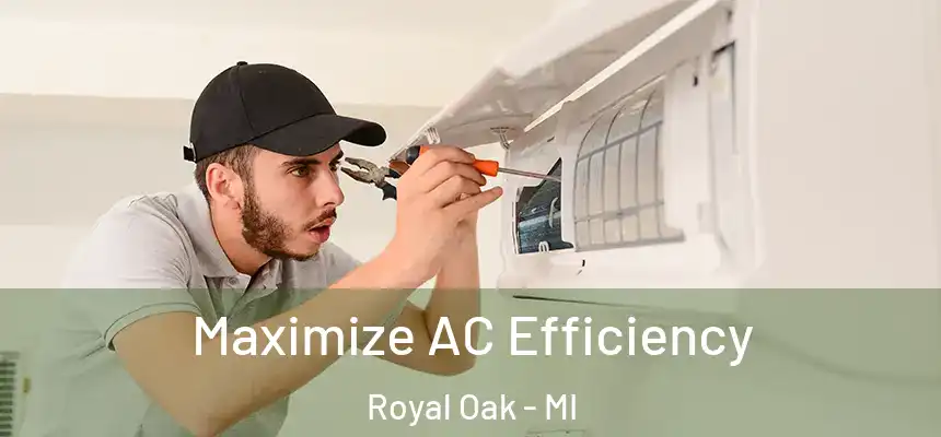  Maximize AC Efficiency Royal Oak - MI