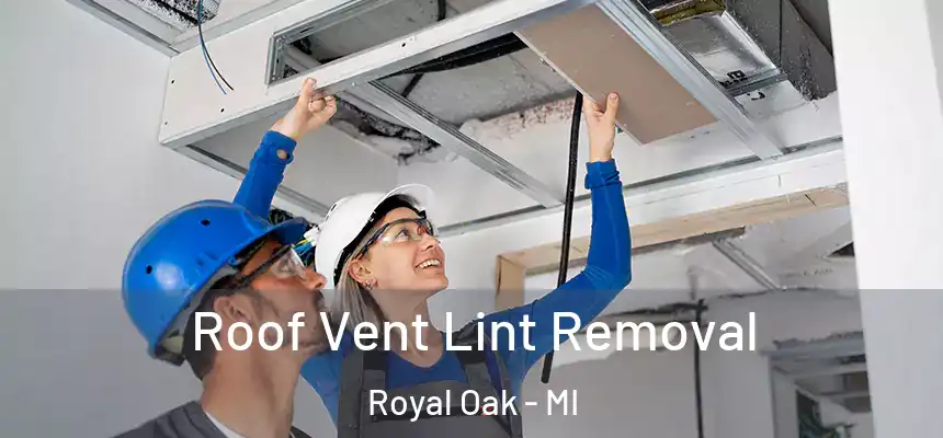  Roof Vent Lint Removal Royal Oak - MI