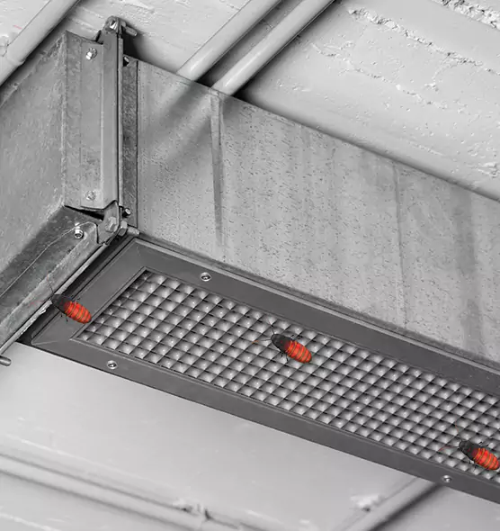 About Air Duct Cockroach Removal in Royal Oak, MI
