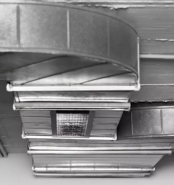 Professional Air Duct Pet Hair Removal in Royal Oak, MI