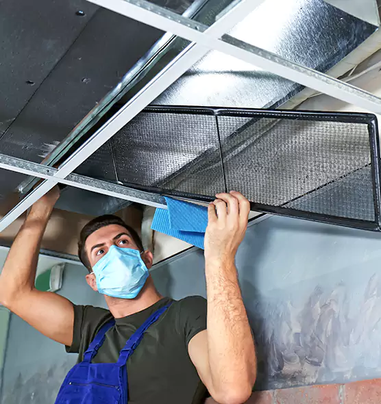 Professional Air Duct Pollen Cleaning in Royal Oak, MI