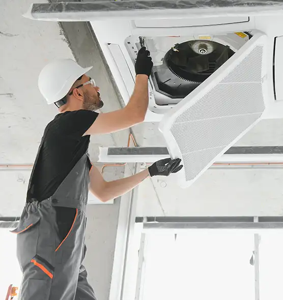 About Air Duct Rodent Removal in Royal Oak, MI