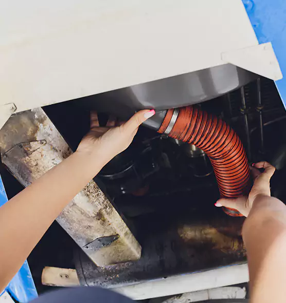 About Air Duct Virus Disinfection in Royal Oak, MI