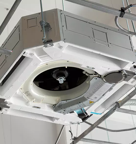 Professional Roof Vent Lint Removal Royal Oak, MI