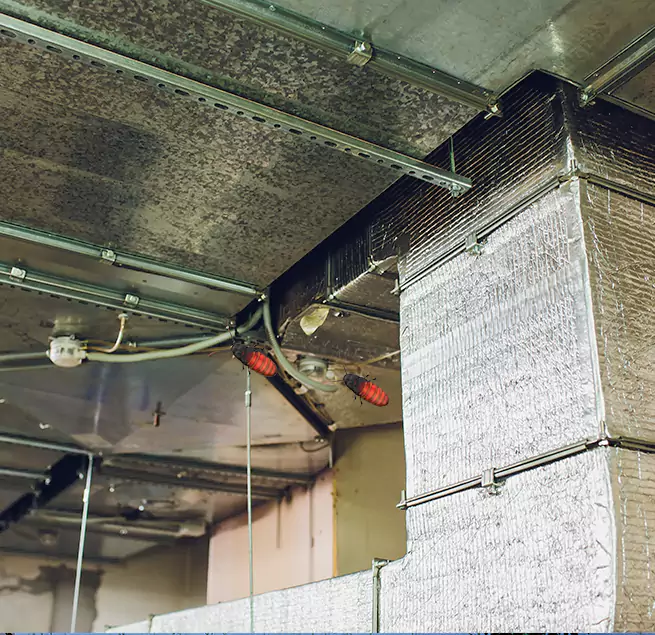 Why Homeowners & Businesses Trust Us in Royal Oak, MI?