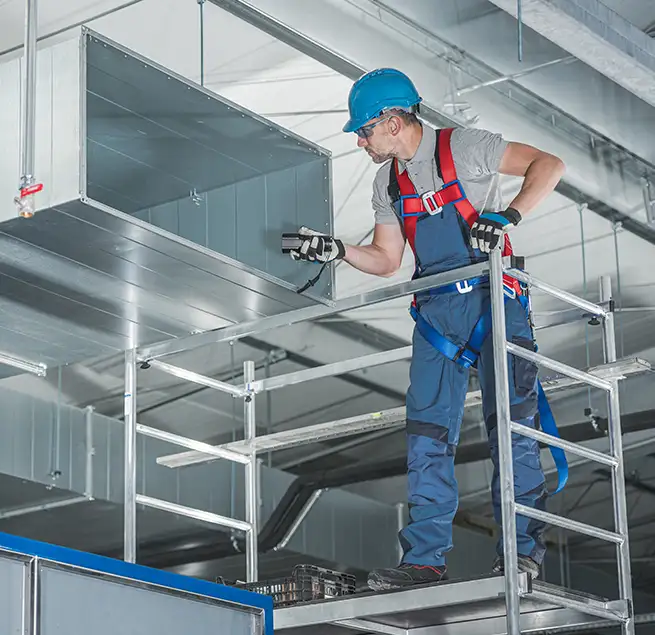 Why Homeowners & Businesses Trust Us in Royal Oak, MI?