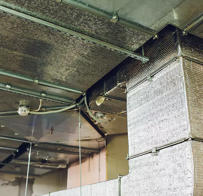 Why Homeowners & Businesses Trust Us in Royal Oak, MI?