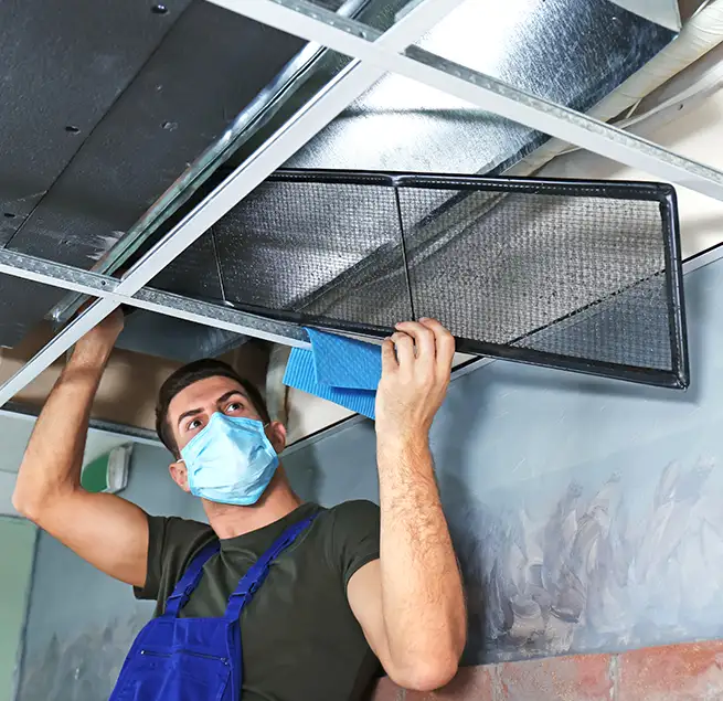 Why Homeowners & Businesses Trust Us in Royal Oak, MI?